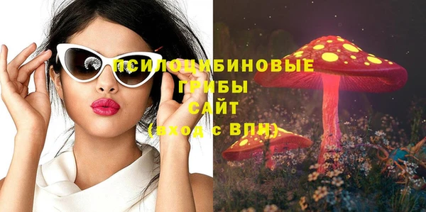 бошки Алексеевка