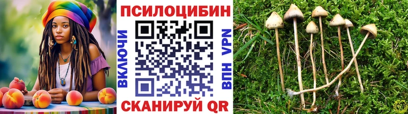 Галлюциногенные грибы Magic Shrooms  наркота  Рубцовск 
